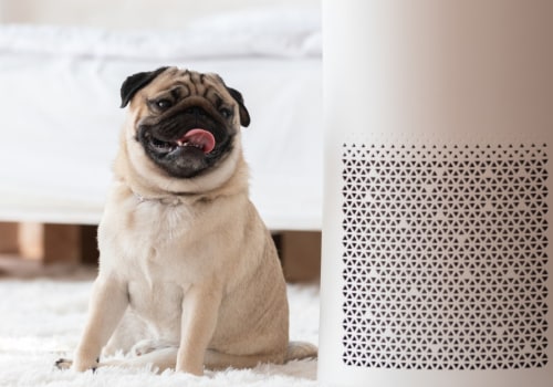 Does the Brand of Home Air Filter Really Matter?